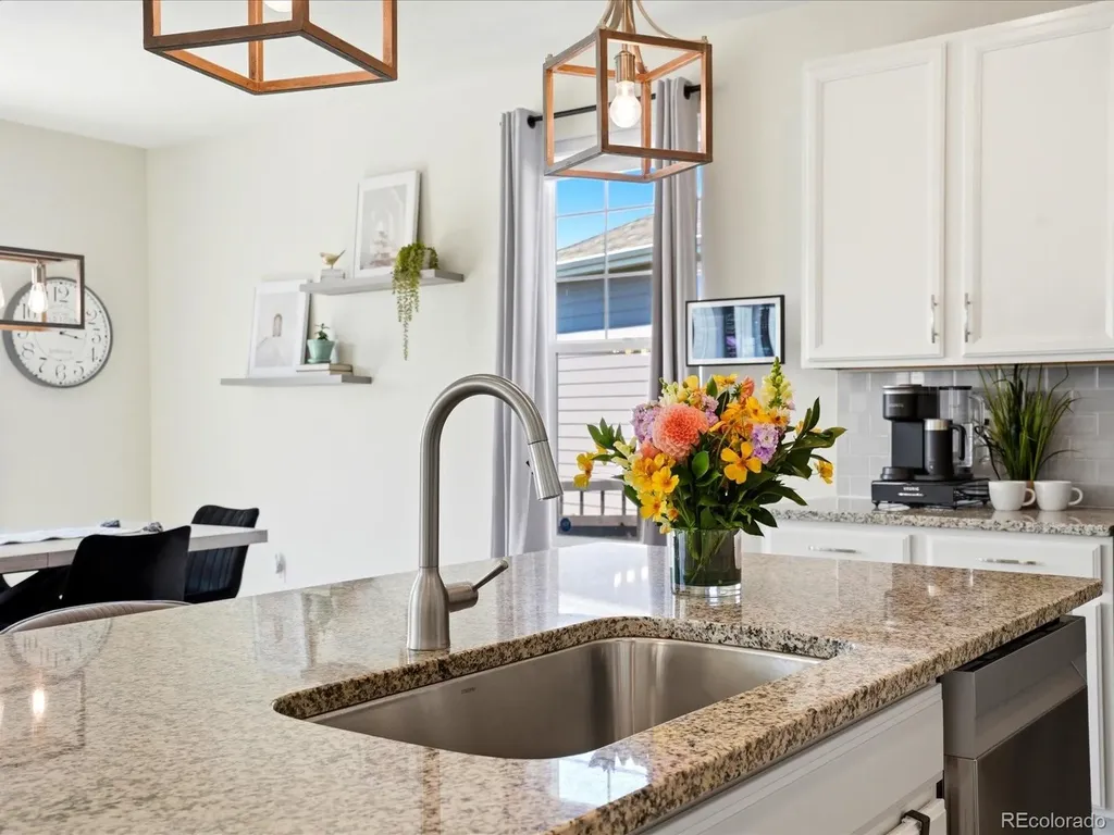 4069 Fortune Lane Castle Rock CO 80109