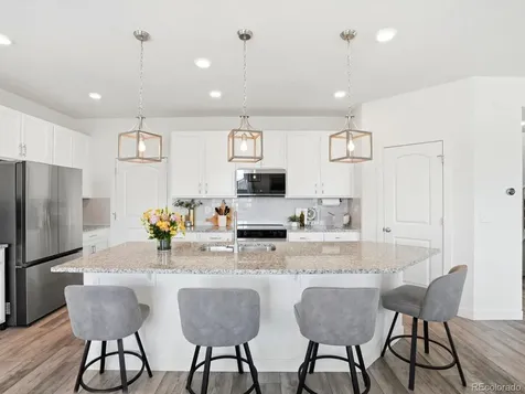 4069 Fortune Lane Castle Rock CO 80109