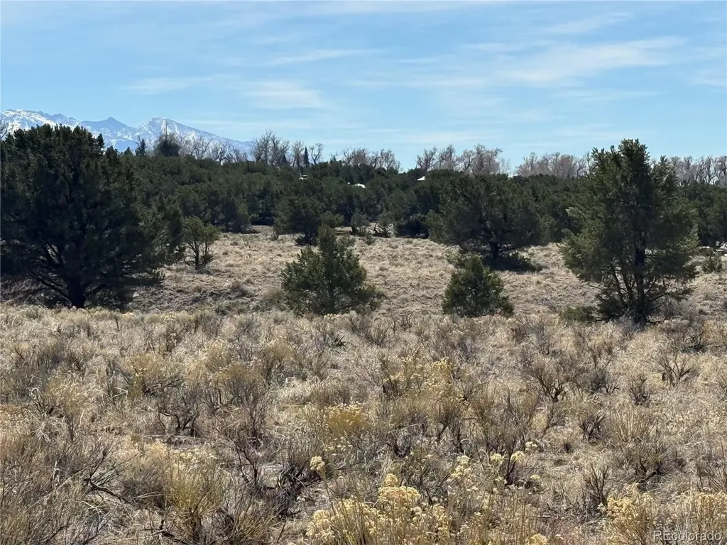 2021 Lost Cave Way Crestone CO 81131
