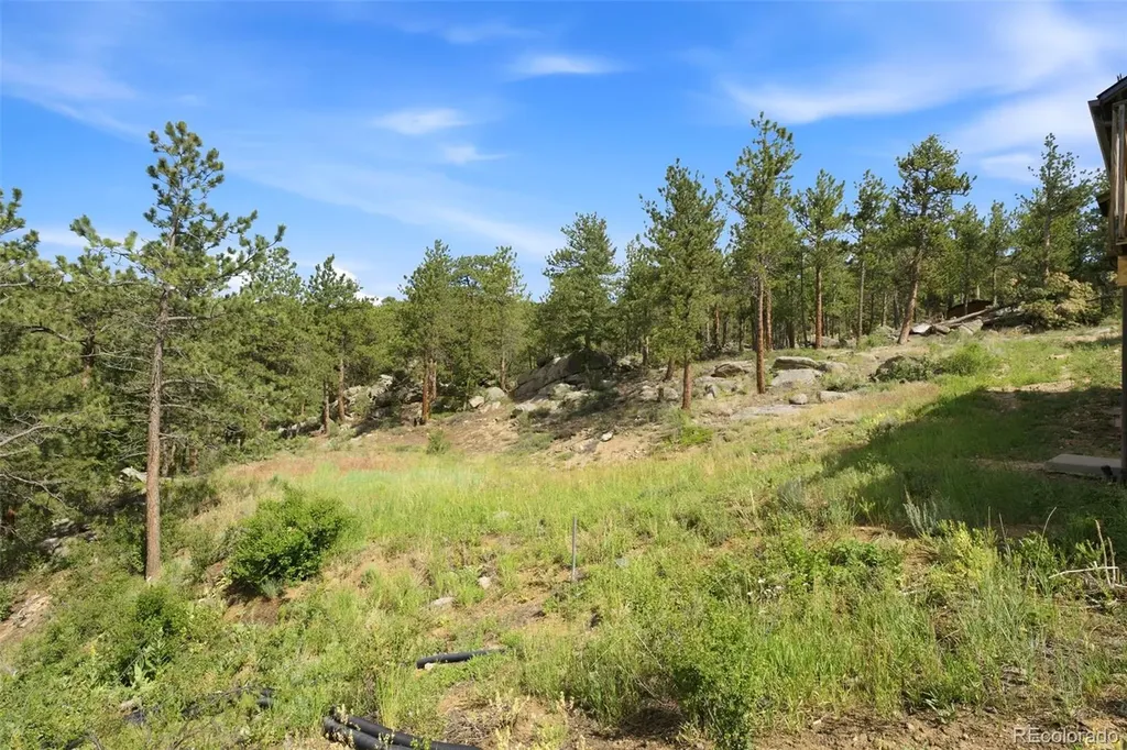 200 Rocky Knob Lane Nederland CO 80466