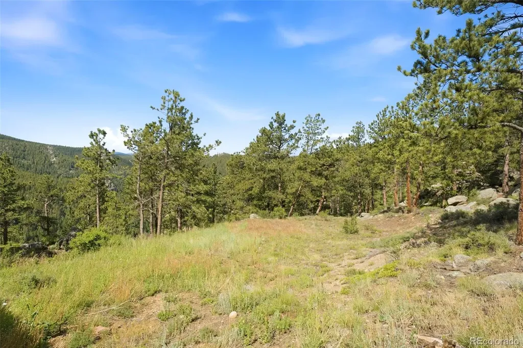 200 Rocky Knob Lane Nederland CO 80466
