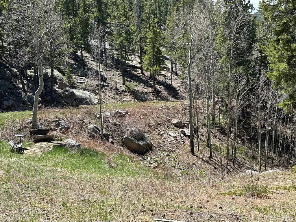 72 Rudi Ln W Golden CO 80403