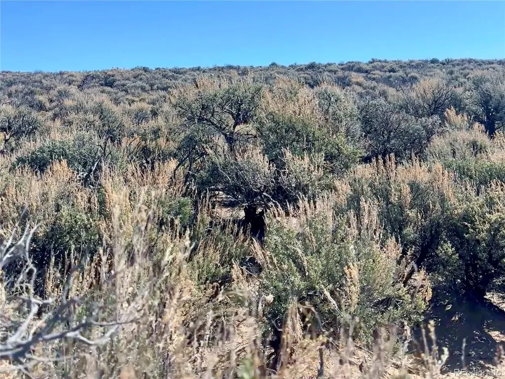 Lot 33 Unit R Blk 25 San Luis Valley Ranches San Luis CO 81152