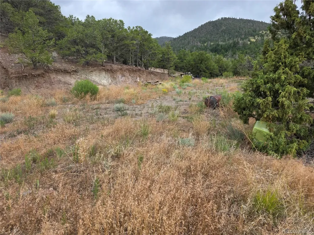 0 Joy Road San Luis CO 81152