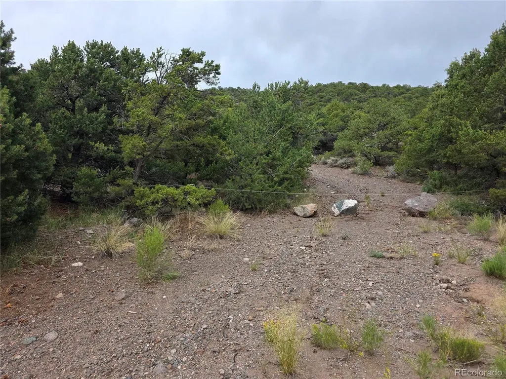 0 Joy Road San Luis CO 81152