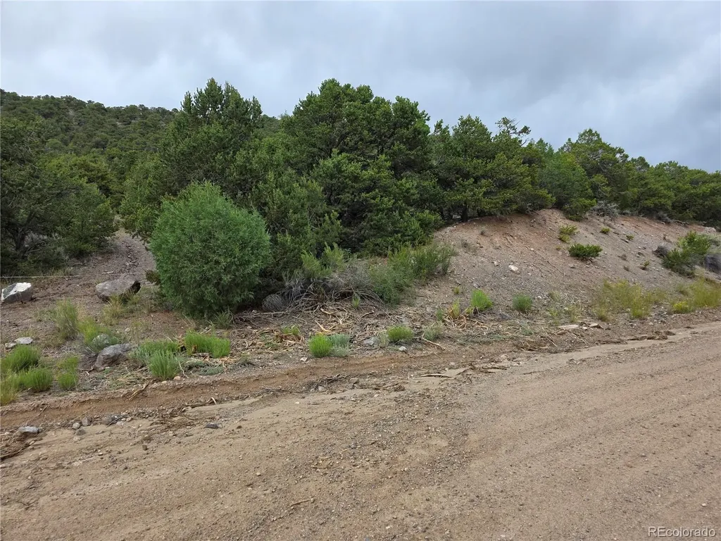 0 Joy Road San Luis CO 81152