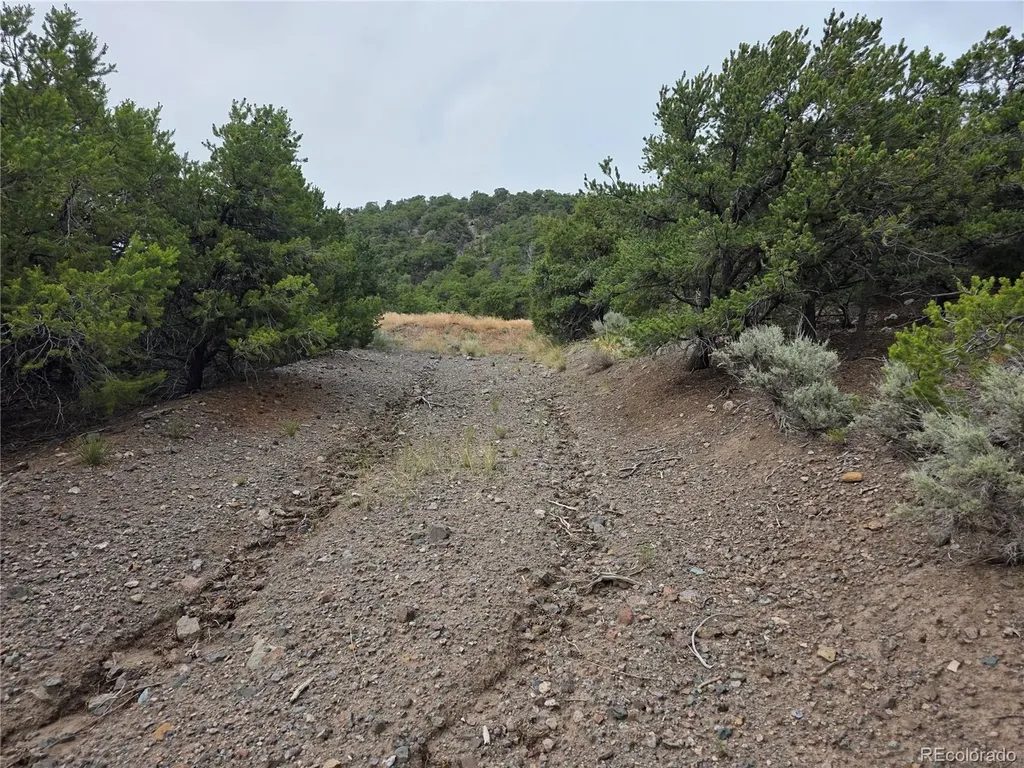 0 Joy Road San Luis CO 81152