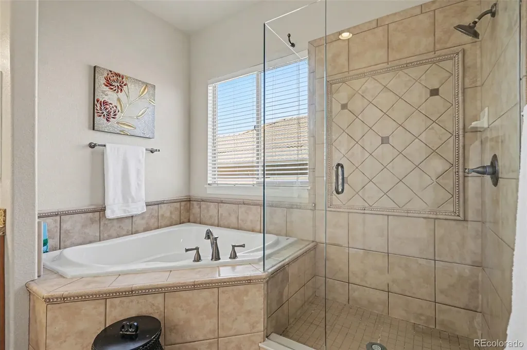 10528 Rivington Court Lone Tree CO 80124