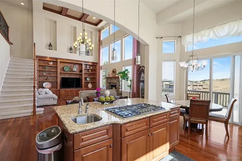 10528 Rivington Court Lone Tree CO 80124