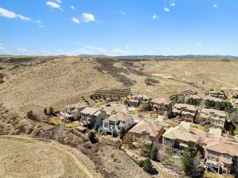 10528 Rivington Court Lone Tree CO 80124