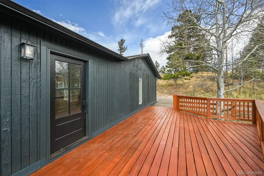 11725 Tomahawk Trail Conifer CO 80433