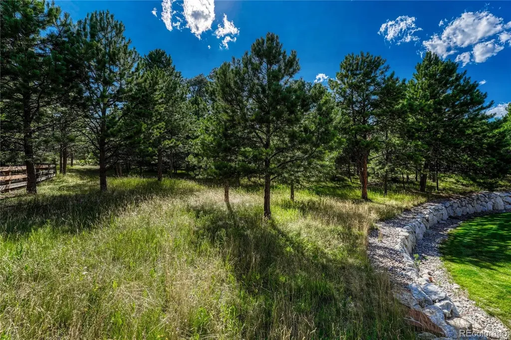 1103 Greenland Forest Drive Monument CO 80132