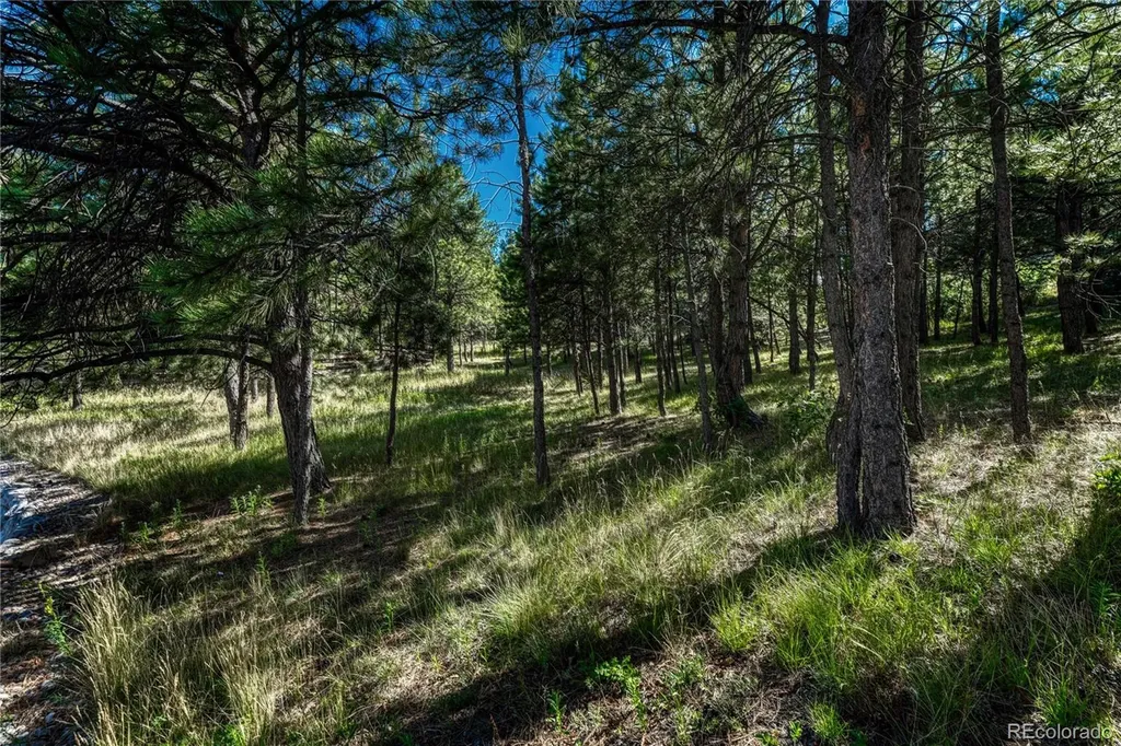 1103 Greenland Forest Drive Monument CO 80132