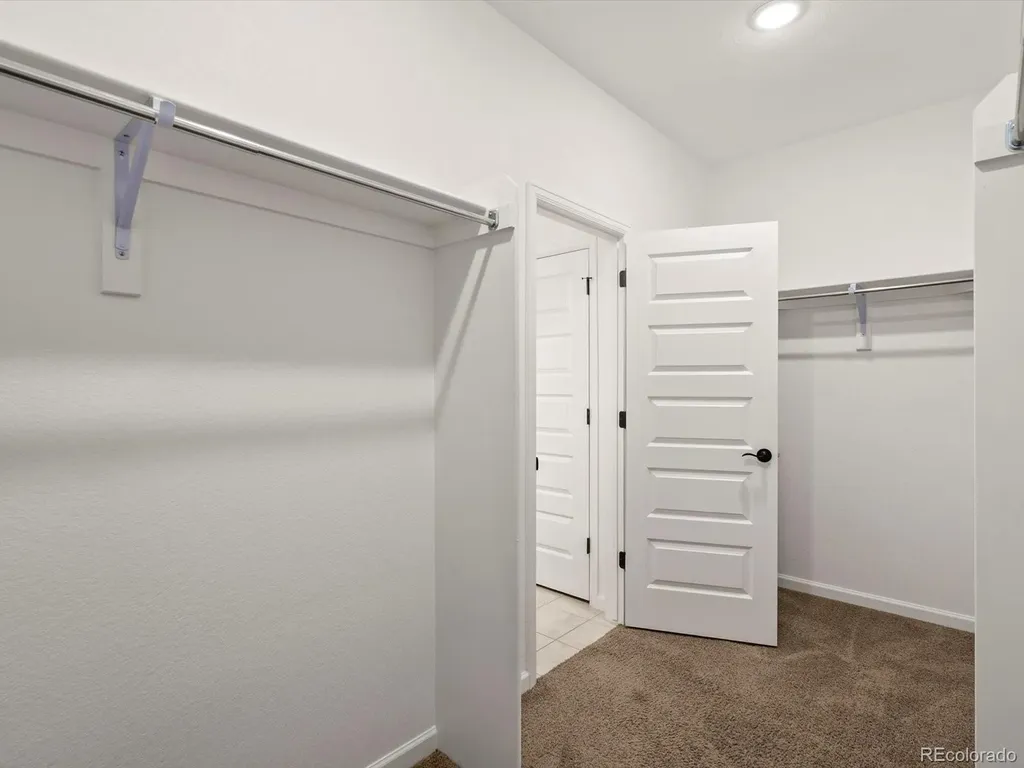 3044 Bivouac Point Castle Rock CO 80108