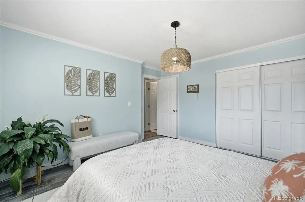6425 Nassau Court Littleton CO 80130