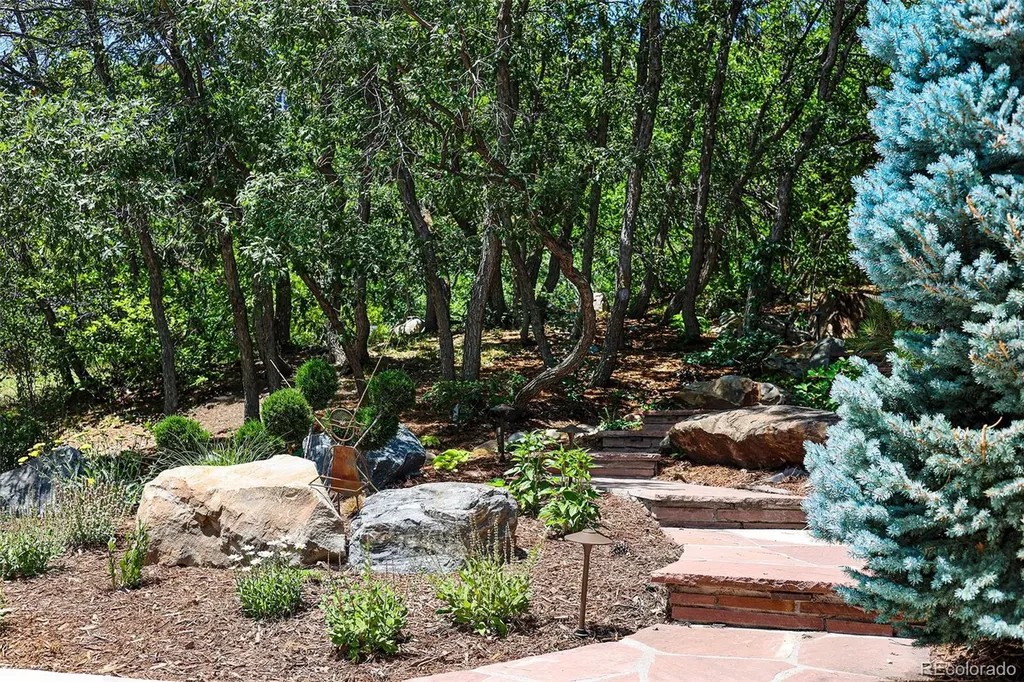 10 Castle Pines Drive N Castle Rock CO 80108