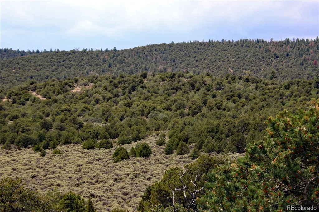 2252 White Tail Rd #2 Circle San Luis CO 81152