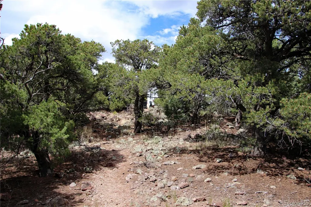 2252 White Tail Rd #2 Circle San Luis CO 81152
