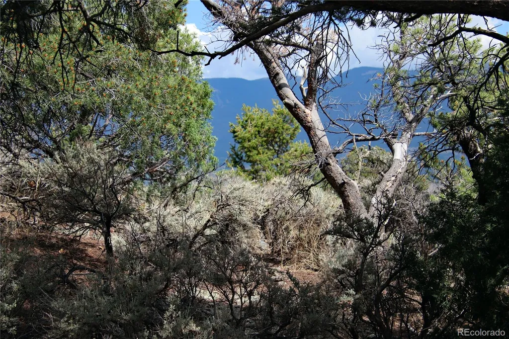 2252 White Tail Rd #2 Circle San Luis CO 81152