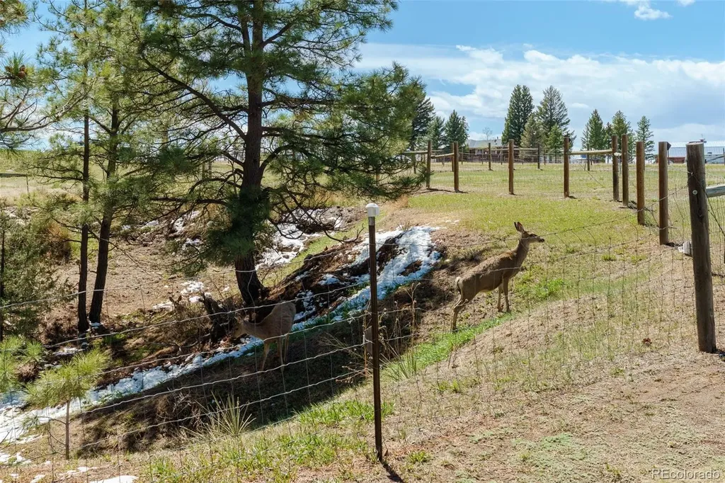 1851 Buttercup Road Elizabeth CO 80107