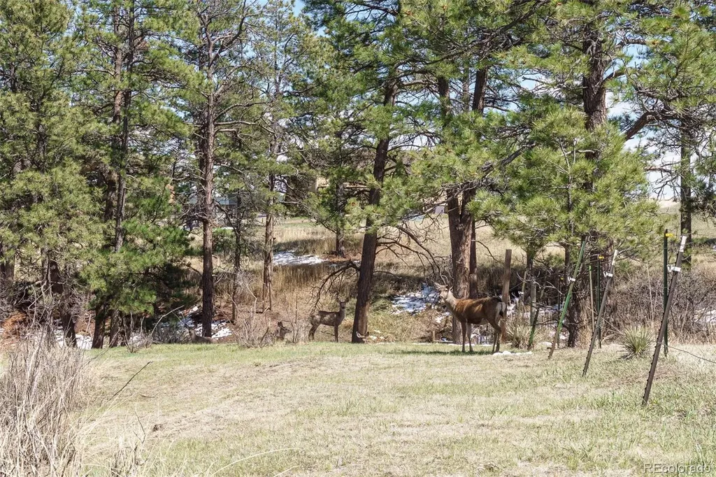 1851 Buttercup Road Elizabeth CO 80107