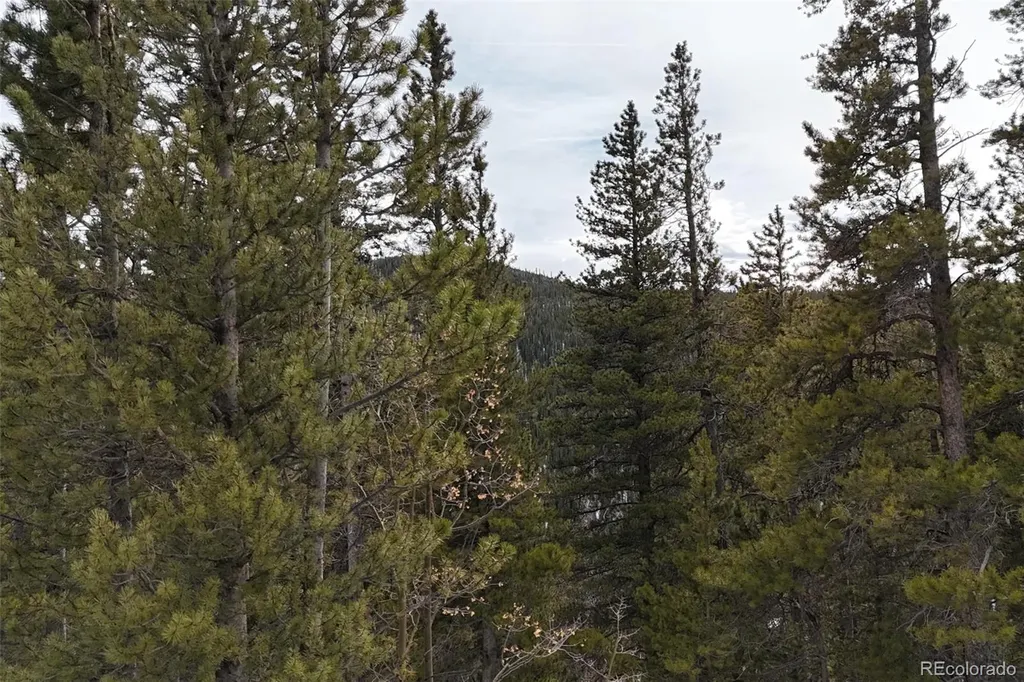 649 Vista Road Idaho Springs CO 80452
