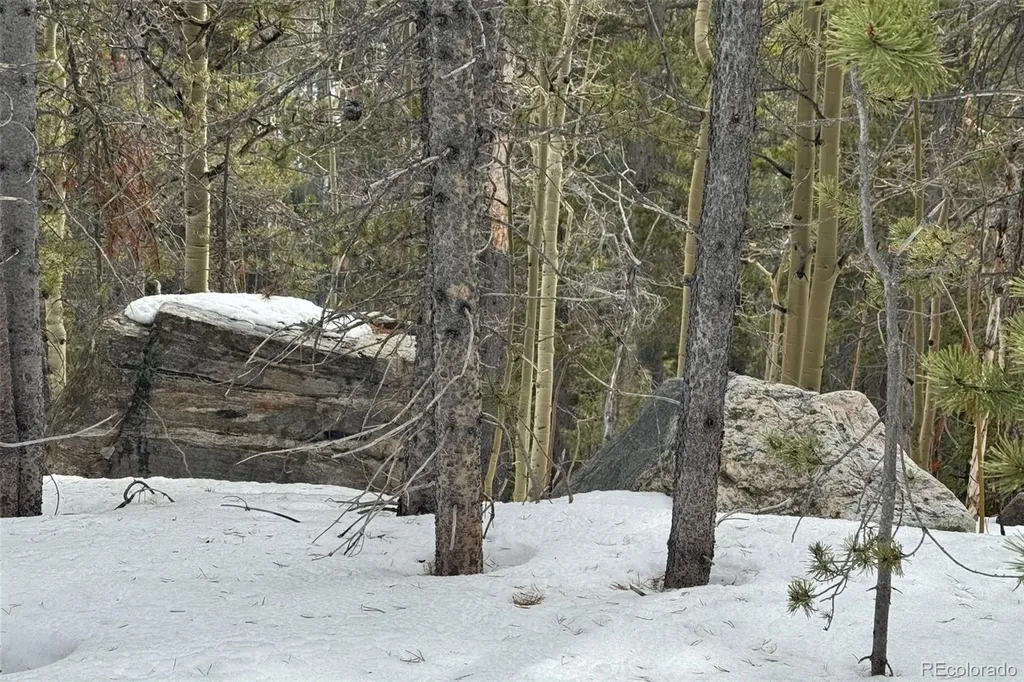 649 Vista Road Idaho Springs CO 80452