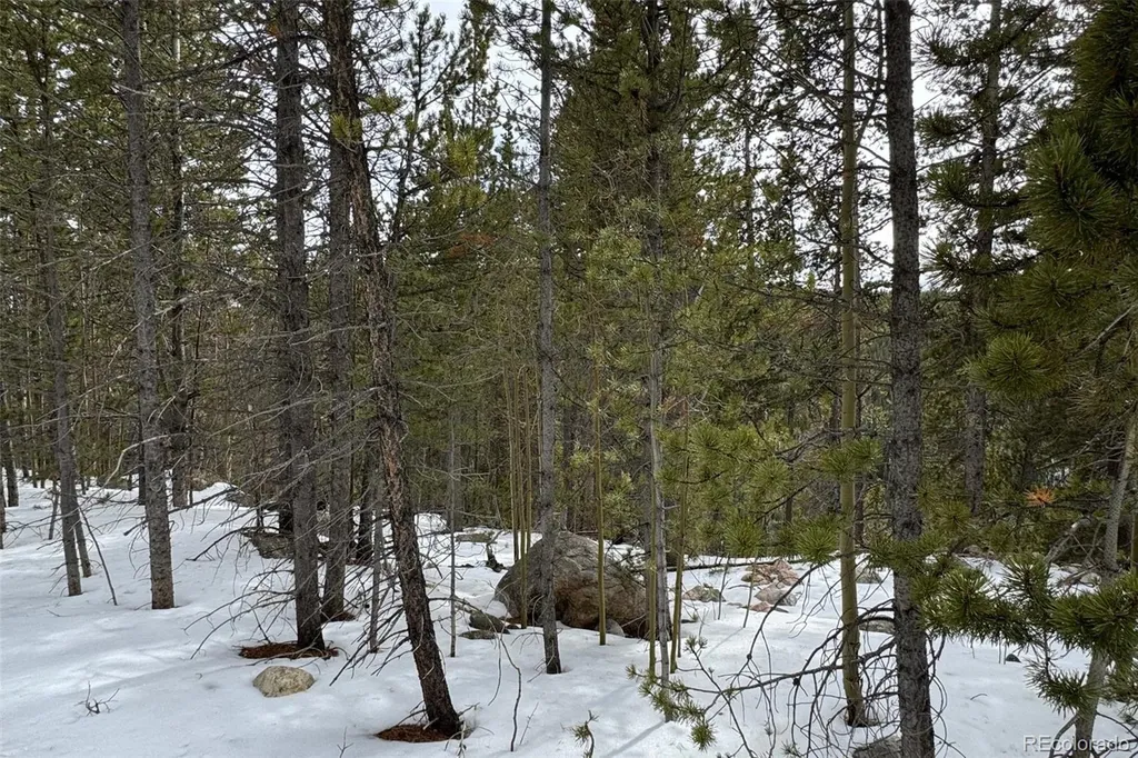 649 Vista Road Idaho Springs CO 80452