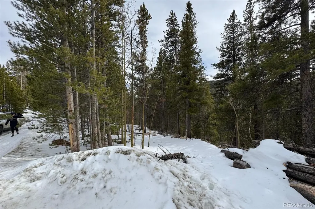 649 Vista Road Idaho Springs CO 80452