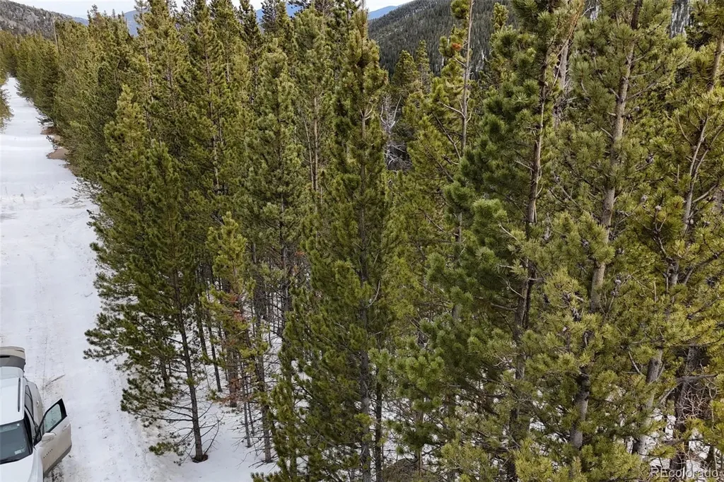 649 Vista Road Idaho Springs CO 80452