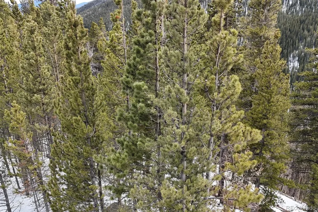 649 Vista Road Idaho Springs CO 80452