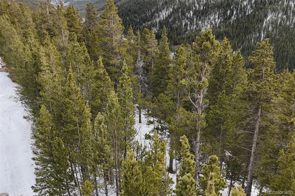 649 Vista Road Idaho Springs CO 80452