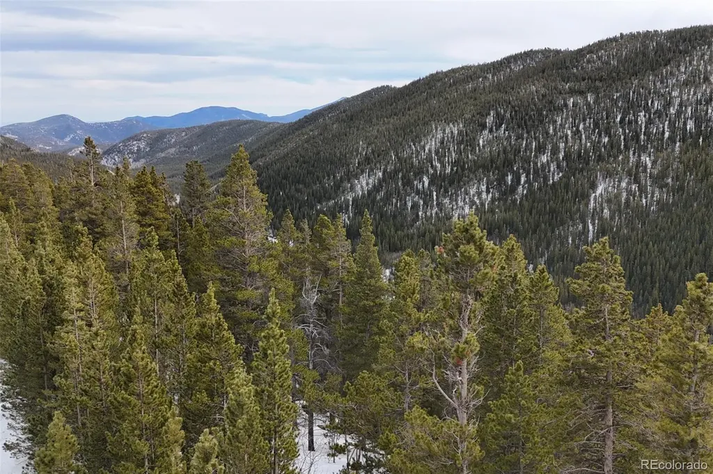 649 Vista Road Idaho Springs CO 80452