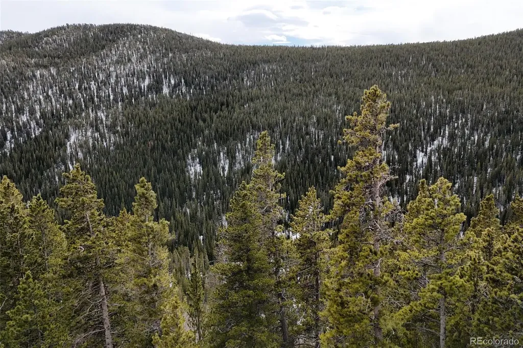 649 Vista Road Idaho Springs CO 80452
