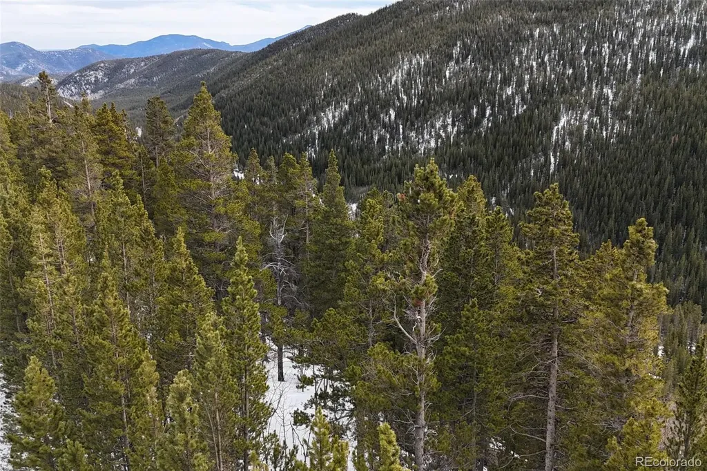 649 Vista Road Idaho Springs CO 80452