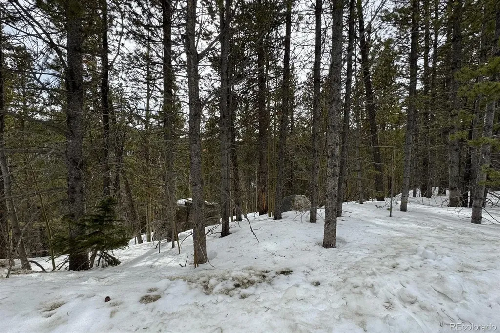 649 Vista Road Idaho Springs CO 80452