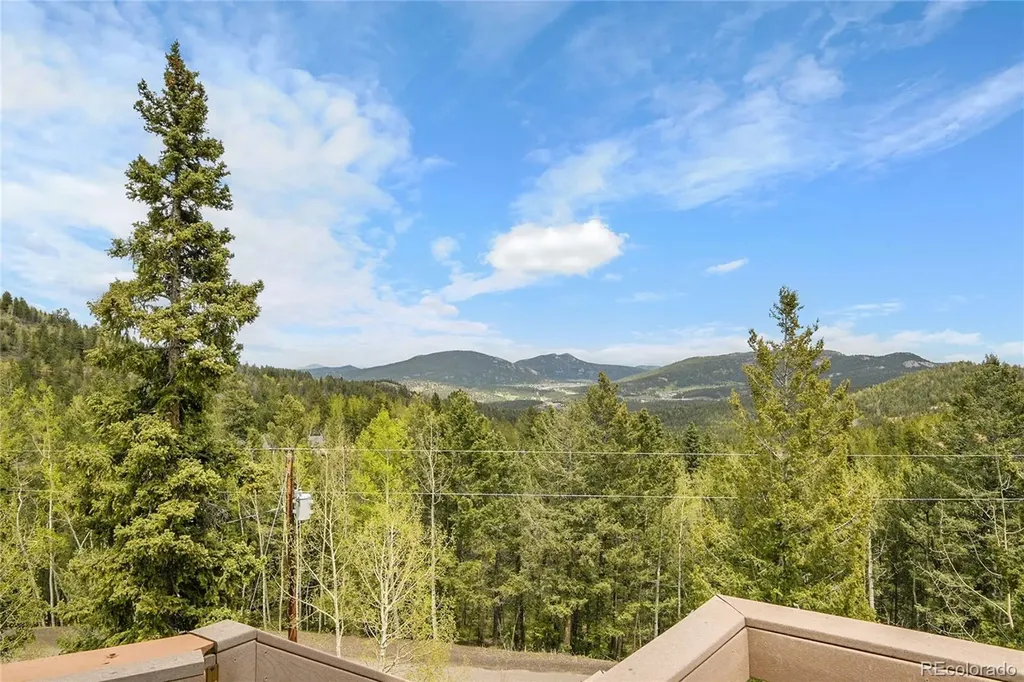 30382 Marys Drive Conifer CO 80433