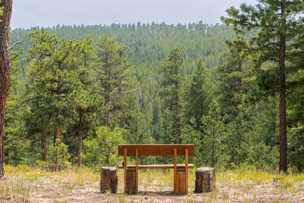 2001 County Road 68 Nederland CO 80466