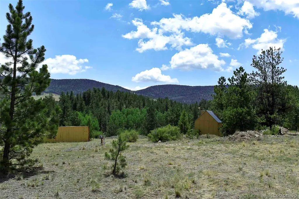 376 Copeland Road Guffey CO 80820