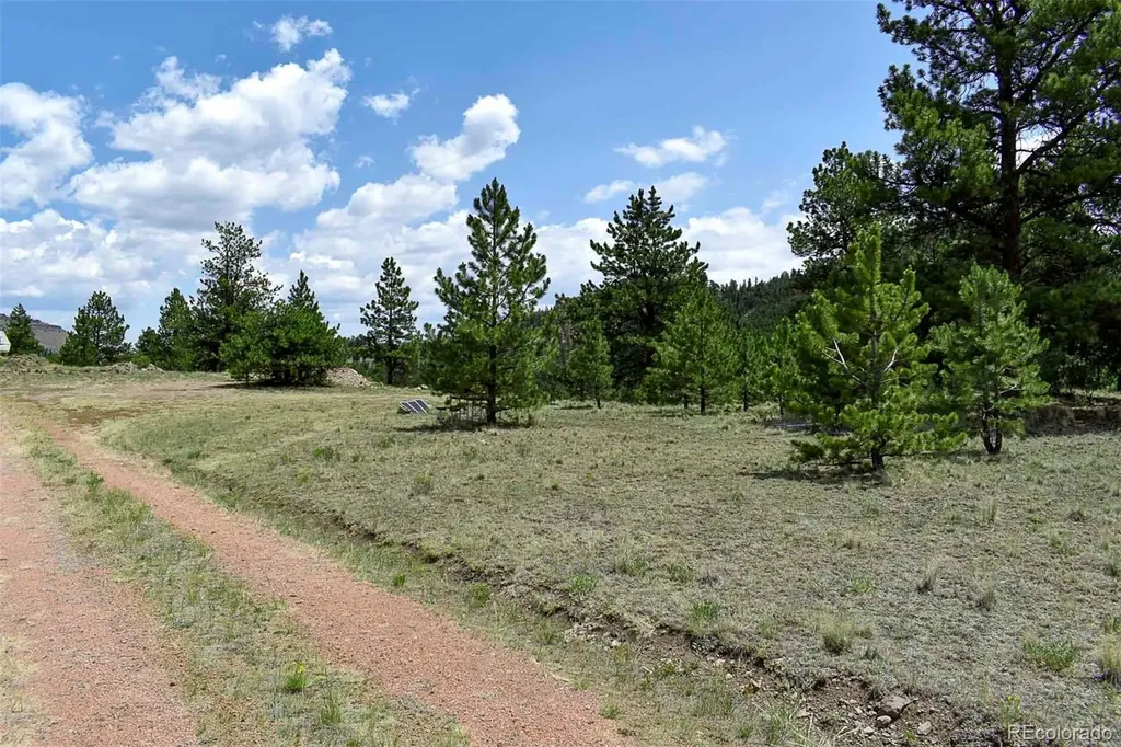 376 Copeland Road Guffey CO 80820