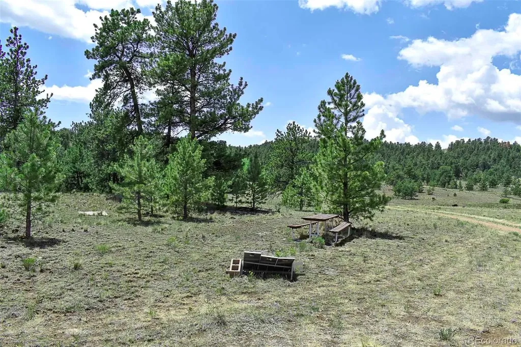 376 Copeland Road Guffey CO 80820