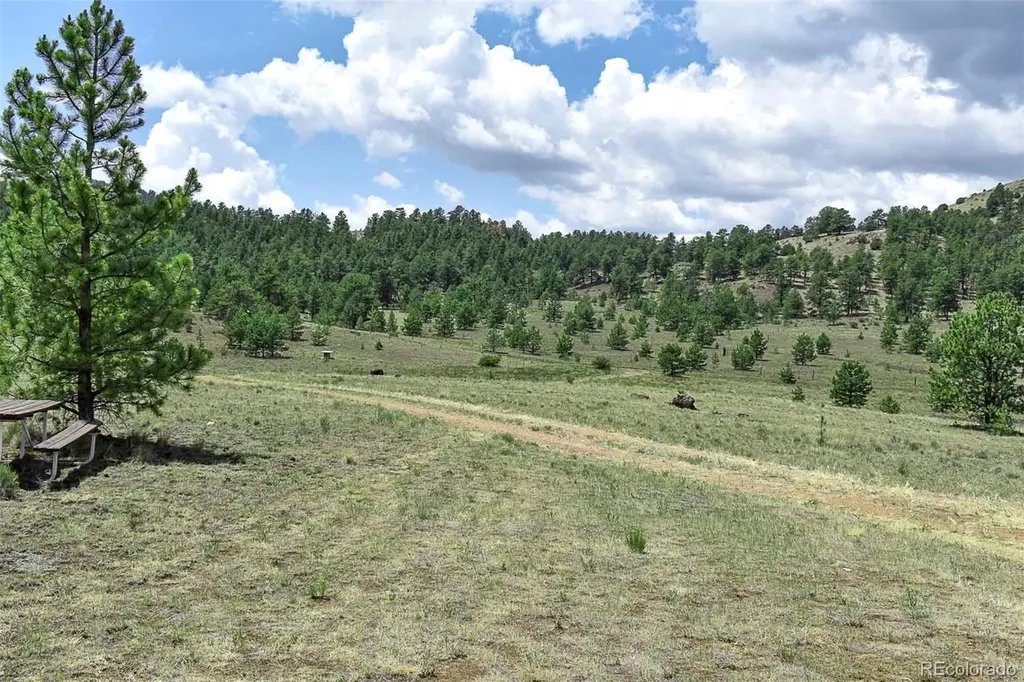 376 Copeland Road Guffey CO 80820