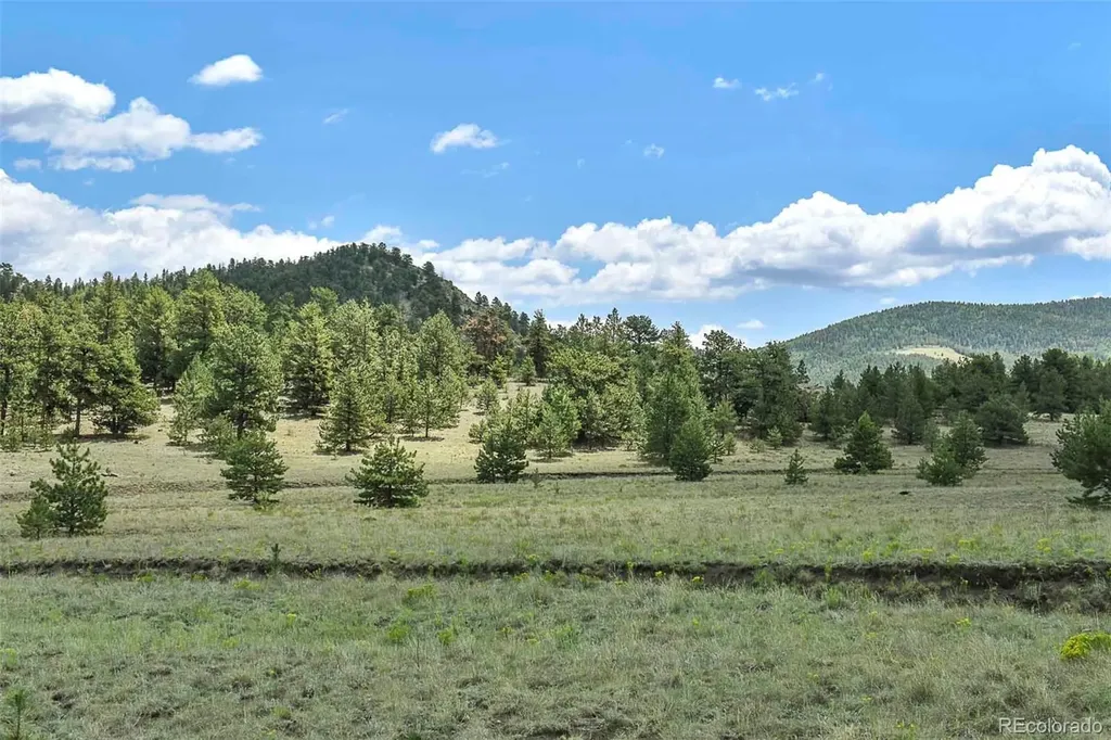 376 Copeland Road Guffey CO 80820