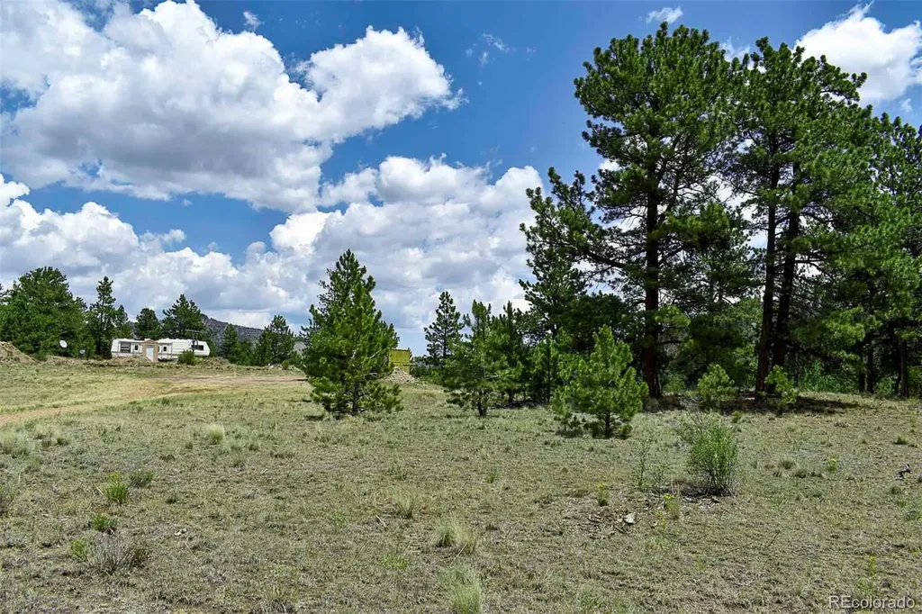 376 Copeland Road Guffey CO 80820