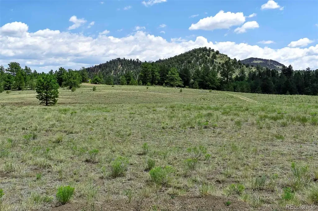 376 Copeland Road Guffey CO 80820