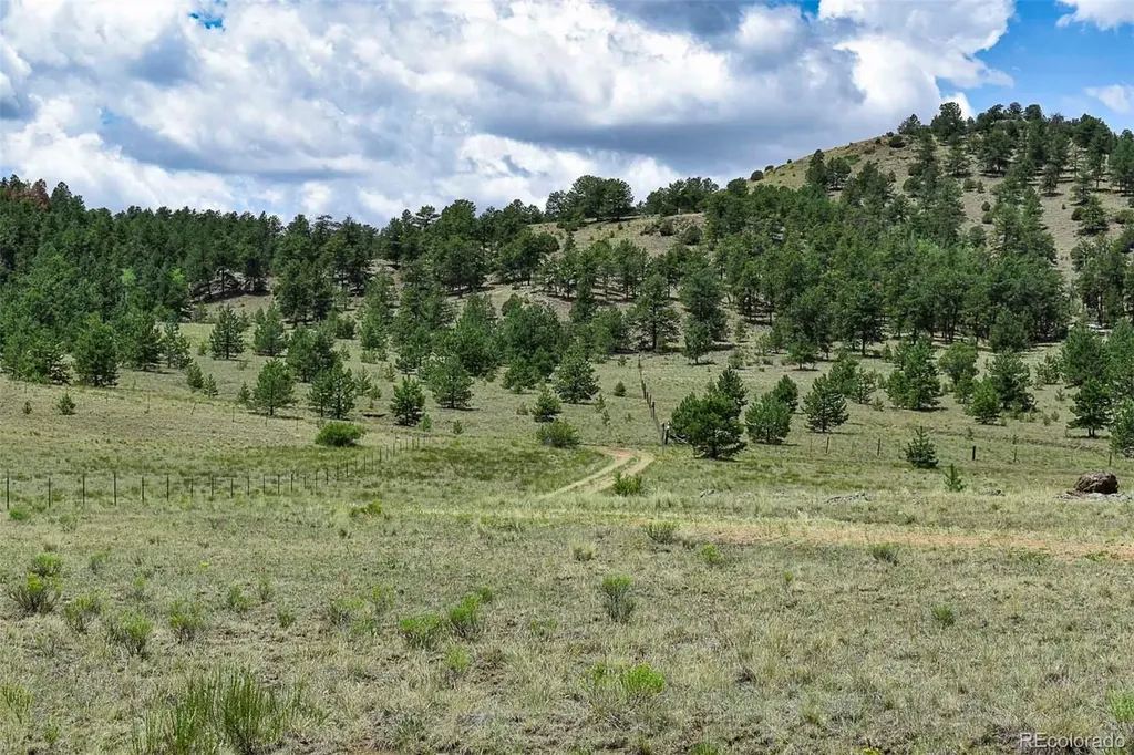 376 Copeland Road Guffey CO 80820
