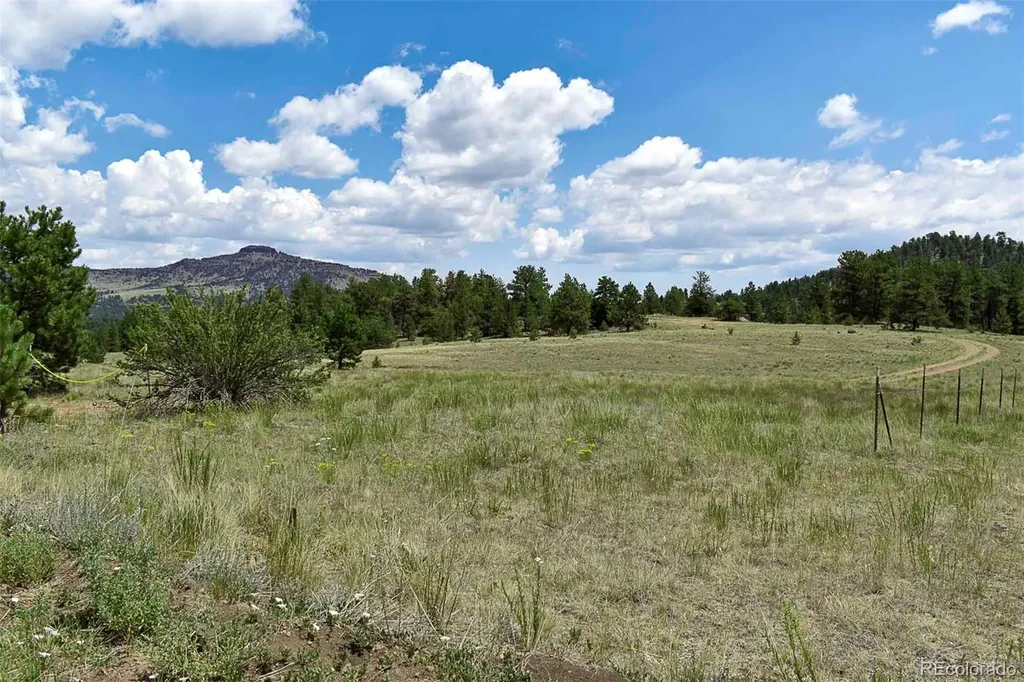 376 Copeland Road Guffey CO 80820