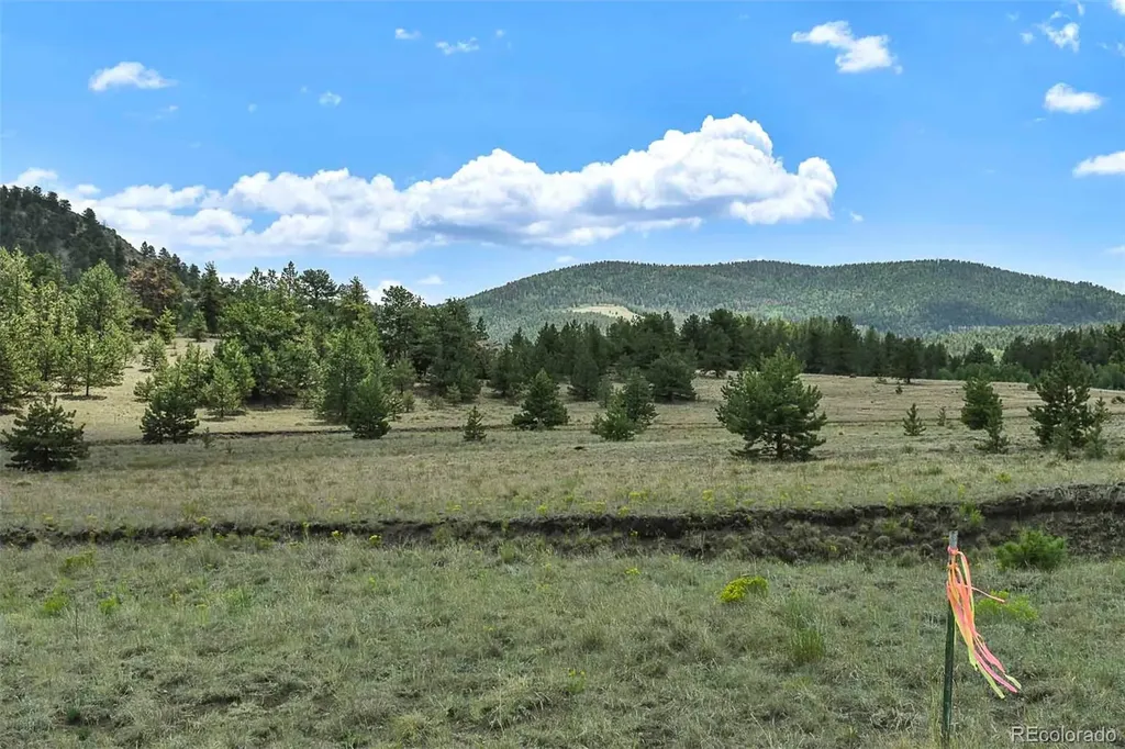 376 Copeland Road Guffey CO 80820