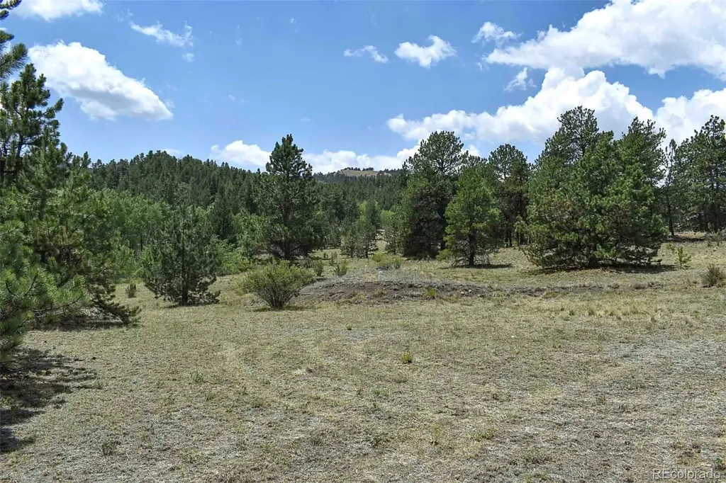 376 Copeland Road Guffey CO 80820