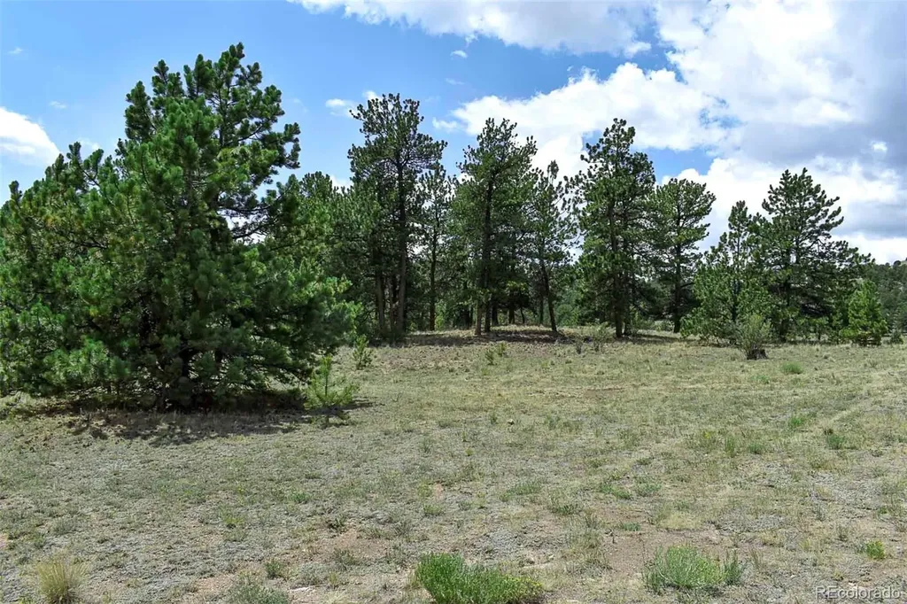 376 Copeland Road Guffey CO 80820